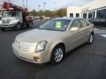 Gold Mist - CTS Sedan Photo No. 10