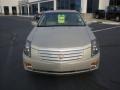 Gold Mist - CTS Sedan Photo No. 11