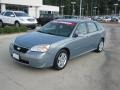 2007 Golden Pewter Metallic Chevrolet Malibu Maxx LT Wagon  photo #1