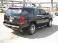 Black Raven - Escalade AWD Photo No. 5