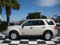 2008 Light Sage Metallic Ford Escape XLT V6  photo #2