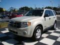 2008 Light Sage Metallic Ford Escape XLT V6  photo #3