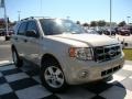 2008 Light Sage Metallic Ford Escape XLT V6  photo #33