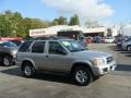 Chrome Silver Metallic - Pathfinder SE 4x4 Photo No. 1