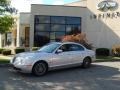 Platinum Metallic - S-Type 4.2 Photo No. 3