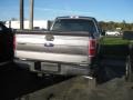 2010 Sterling Grey Metallic Ford F150 XLT SuperCab 4x4  photo #4