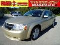 White Gold - Avenger R/T Photo No. 1