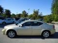 White Gold - Avenger R/T Photo No. 2