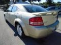 White Gold - Avenger R/T Photo No. 3
