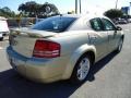 White Gold - Avenger R/T Photo No. 13