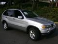 Titanium Silver Metallic - X5 3.0i Photo No. 3