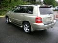 Vintage Gold Metallic - Highlander  Photo No. 4