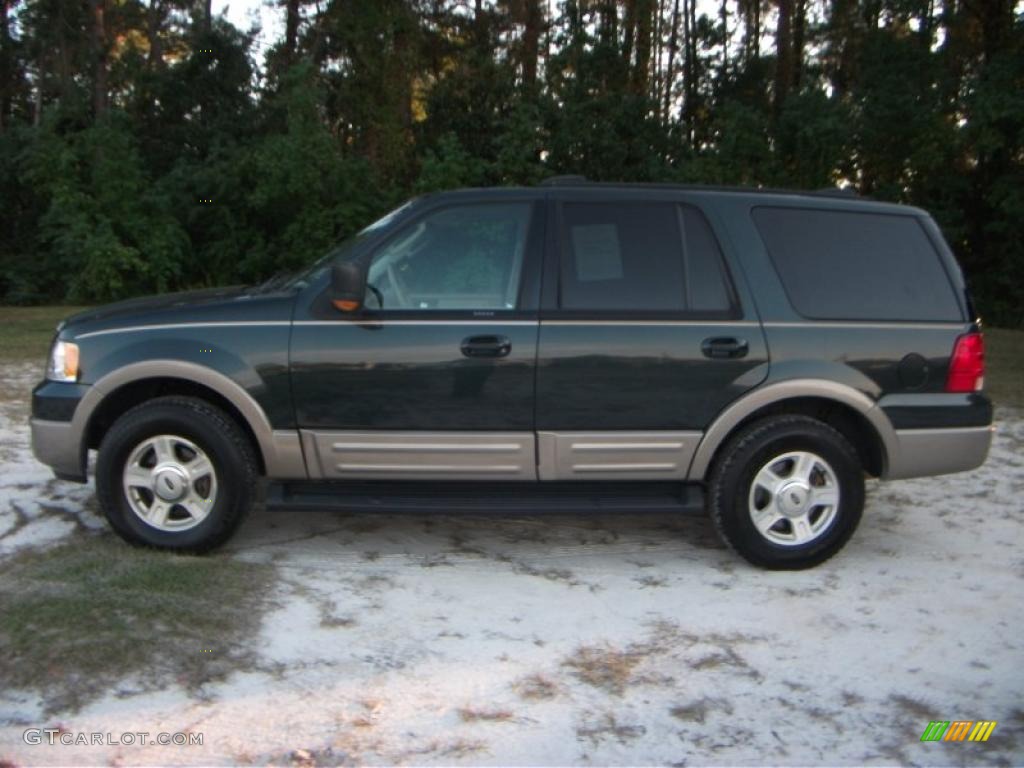 2003 Expedition Eddie Bauer - Aspen Green Metallic / Medium Parchment photo #1