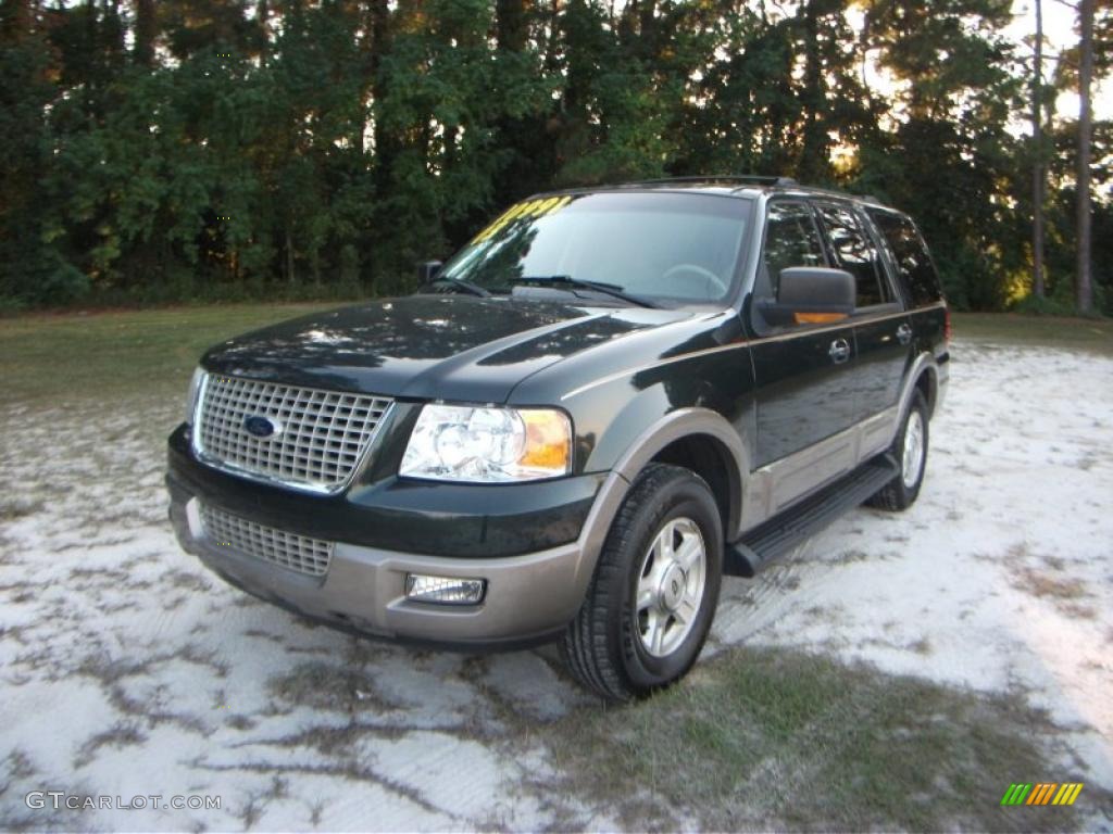 2003 Expedition Eddie Bauer - Aspen Green Metallic / Medium Parchment photo #17