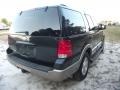 2003 Aspen Green Metallic Ford Expedition Eddie Bauer  photo #19