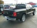 2008 Brilliant Black Dodge Dakota Laramie Crew Cab 4x4  photo #5