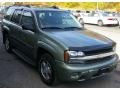 2004 Silver Green Metallic Chevrolet TrailBlazer LS 4x4  photo #12