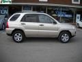 2010 Gold Leaf Kia Sportage LX V6 4x4  photo #2