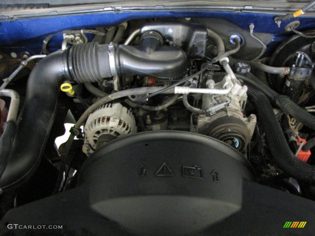 2004 Chevrolet Silverado 1500 LS Regular Cab 4x4 4.3 Liter OHV 12-Valve Vortec V6 Engine Photo #38389643