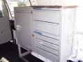 2002 Ivory White GMC Safari SL Cargo Van  photo #16
