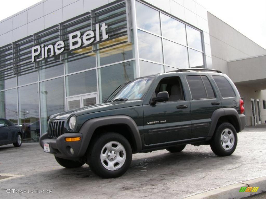 2002 Liberty Sport 4x4 - Shale Green Metallic / Dark Slate Gray photo #1