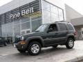 2002 Shale Green Metallic Jeep Liberty Sport 4x4  photo #1