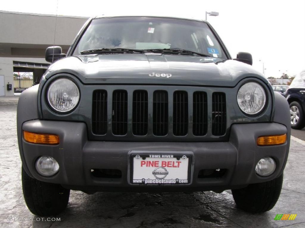 2002 Liberty Sport 4x4 - Shale Green Metallic / Dark Slate Gray photo #2