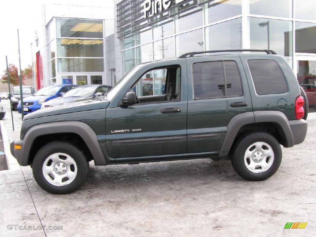 2002 Liberty Sport 4x4 - Shale Green Metallic / Dark Slate Gray photo #4