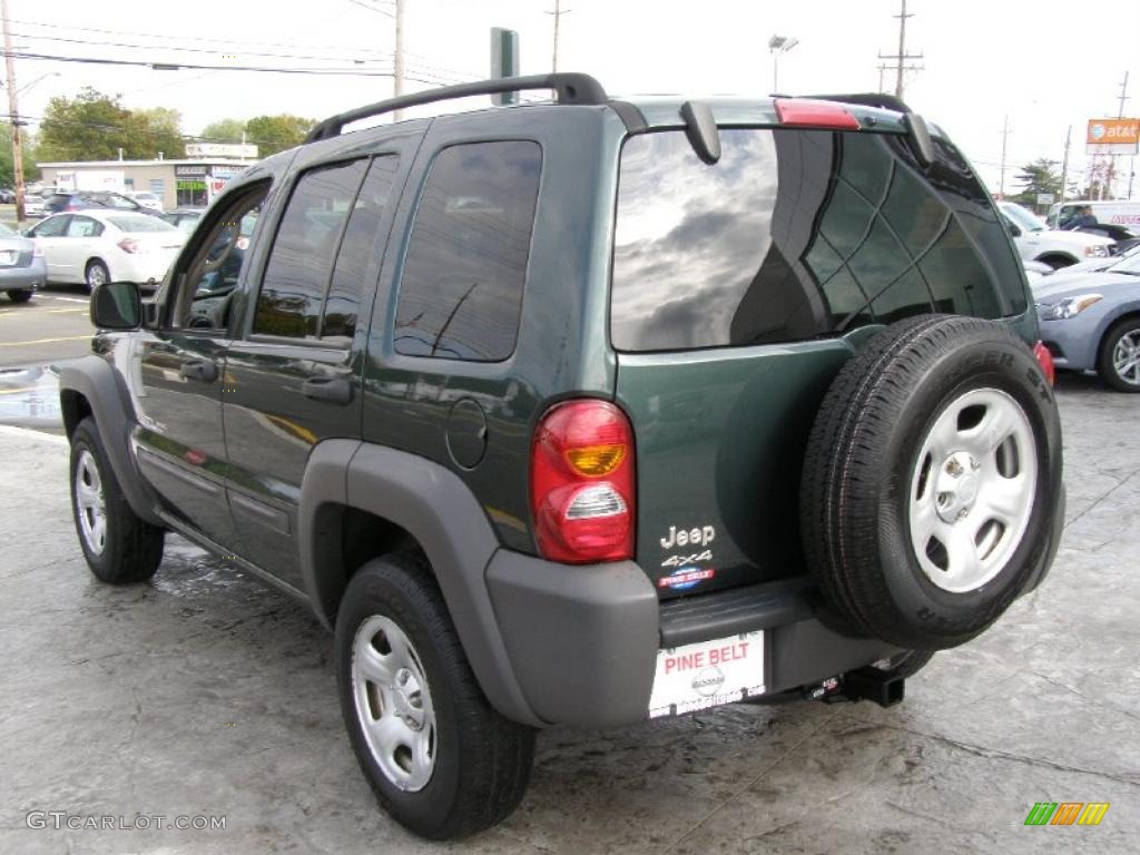2002 Liberty Sport 4x4 - Shale Green Metallic / Dark Slate Gray photo #5