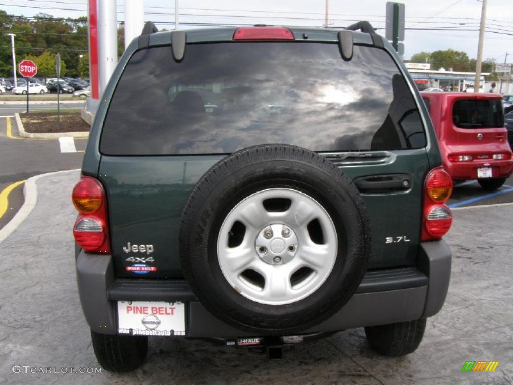 2002 Liberty Sport 4x4 - Shale Green Metallic / Dark Slate Gray photo #6