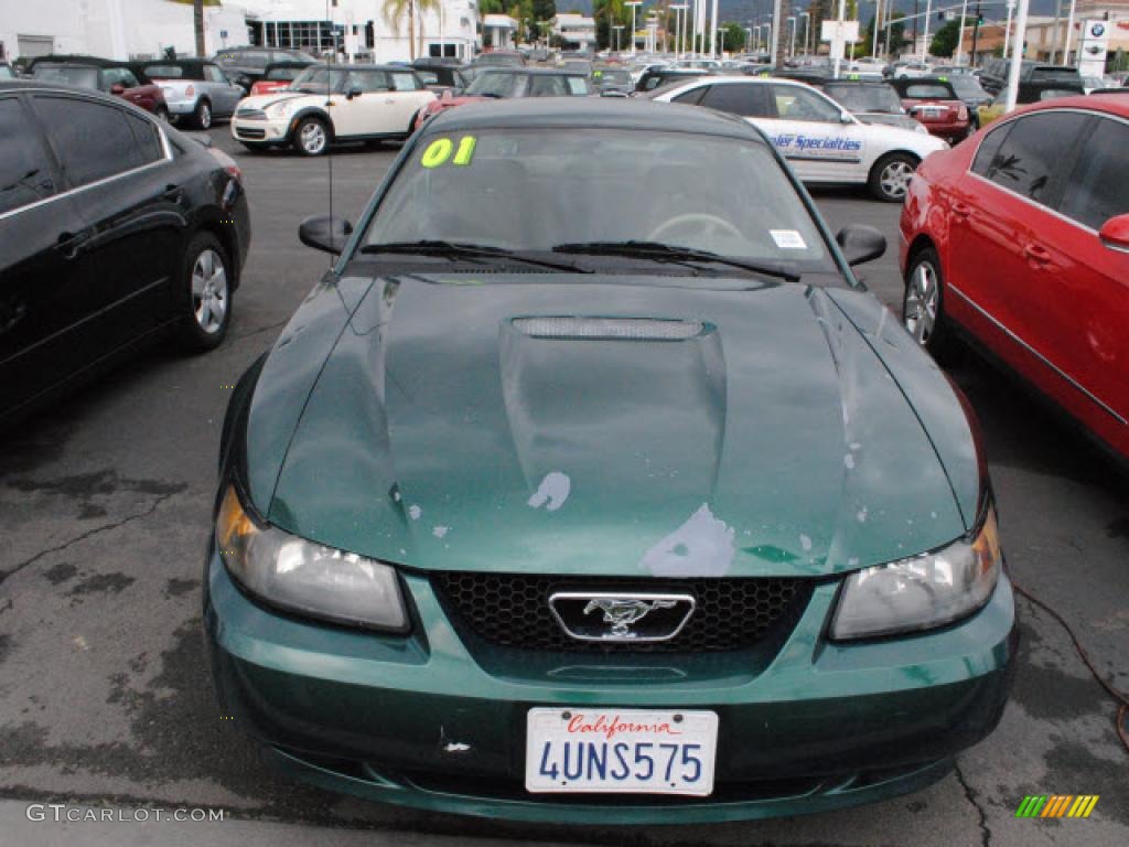 2001 Mustang V6 Coupe - Dark Highland Green / Medium Parchment photo #25