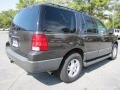 Dark Stone Metallic - Expedition XLT Photo No. 3