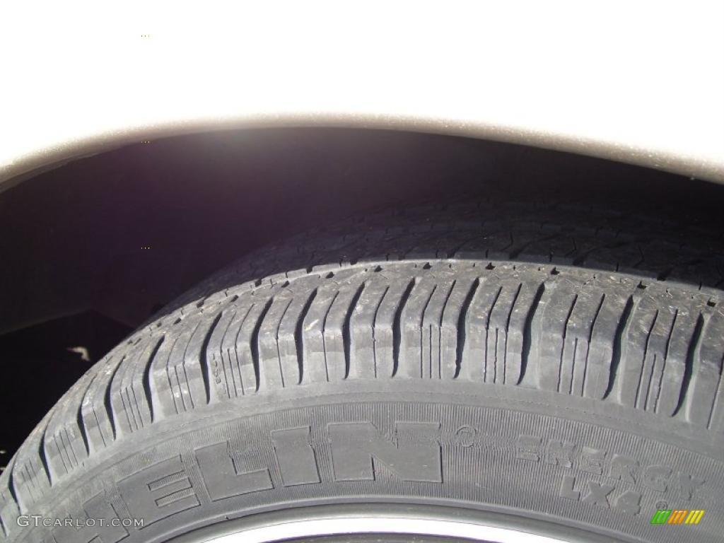 2004 Grand Marquis GS - Arizona Beige Metallic / Medium Parchment photo #26