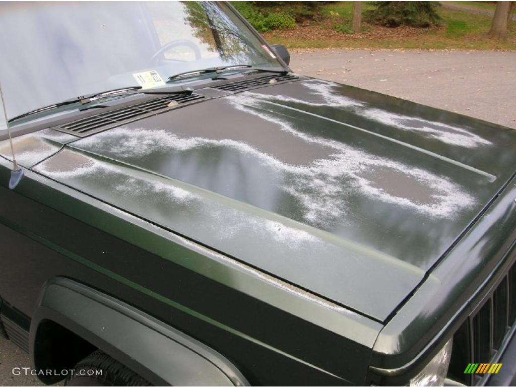 1996 Cherokee Classic 4x4 - Moss Green Pearl / Gray photo #6