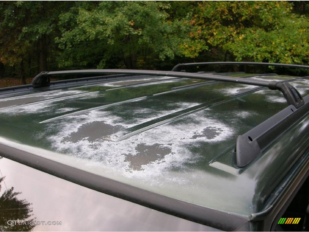 1996 Cherokee Classic 4x4 - Moss Green Pearl / Gray photo #13