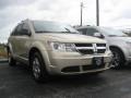 2010 White Gold Dodge Journey SE  photo #3