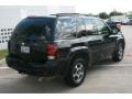 2007 Black Chevrolet TrailBlazer LS  photo #10