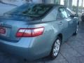 Aloe Green Metallic - Camry LE Photo No. 9
