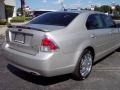 2007 Silver Birch Metallic Ford Fusion SE  photo #4