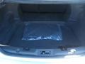 Ingot Silver - Taurus Limited Photo No. 10