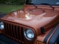 2001 Amber Fire Pearl Jeep Wrangler Sport 4x4  photo #18