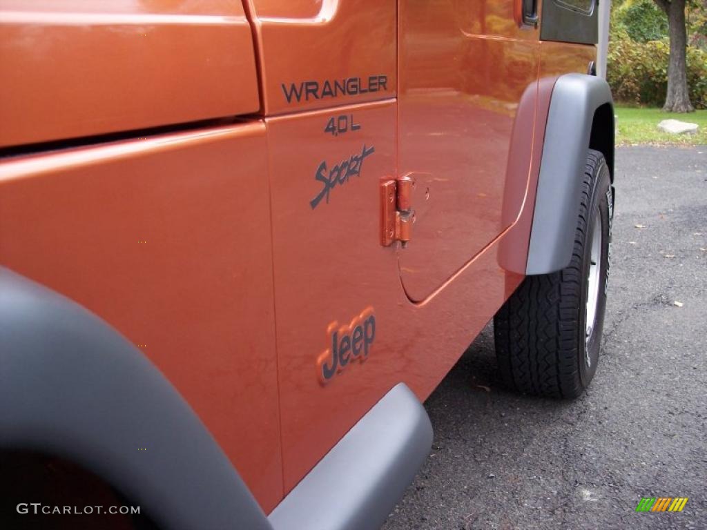 2001 Jeep Wrangler Sport 4x4 Marks and Logos Photo #38416605