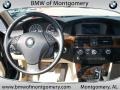 2008 Deep Green Metallic BMW 5 Series 528i Sedan  photo #18