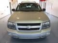 Silverstone Metallic - TrailBlazer LT Photo No. 6