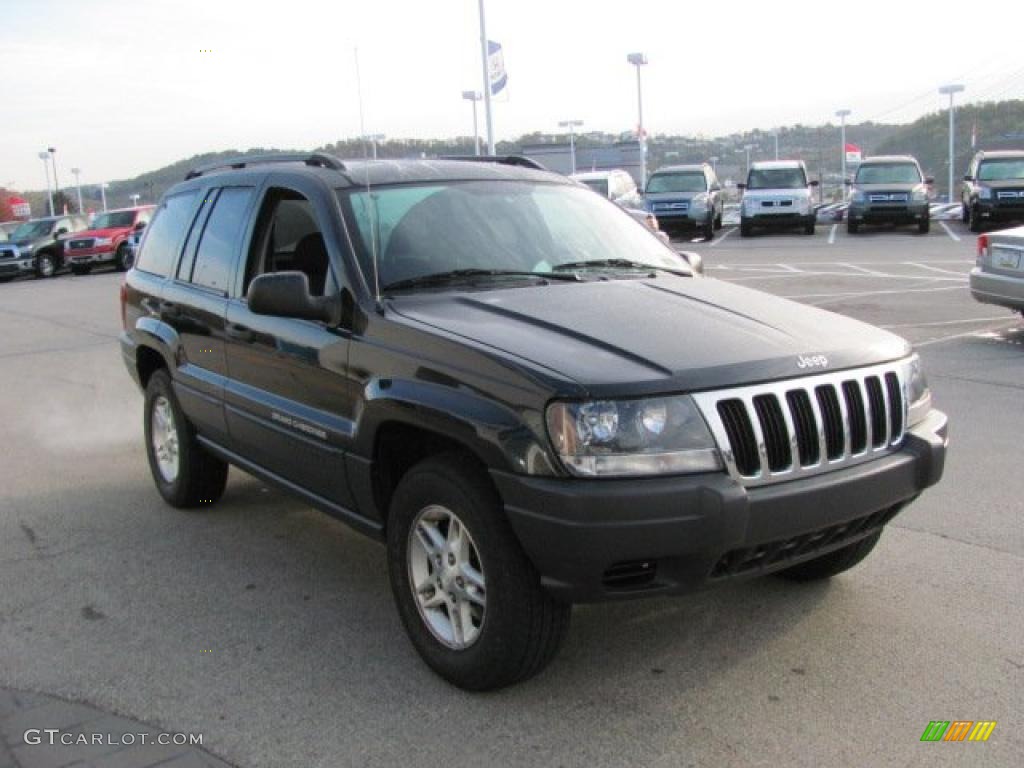 2003 Grand Cherokee Laredo 4x4 - Brilliant Black / Dark Slate Gray photo #9