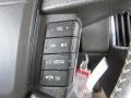 Medium Light Stone Controls Photo for 2010 Ford Edge #38432581