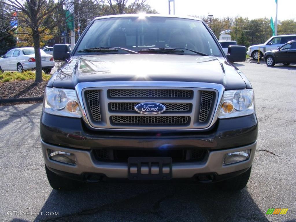 2005 F150 King Ranch SuperCrew 4x4 - Dark Stone Metallic / Castano Brown Leather photo #8