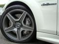 2009 Mercedes-Benz C 63 AMG Wheel and Tire Photo