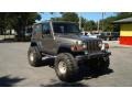 Light Khaki Metallic - Wrangler Rubicon 4x4 Photo No. 1