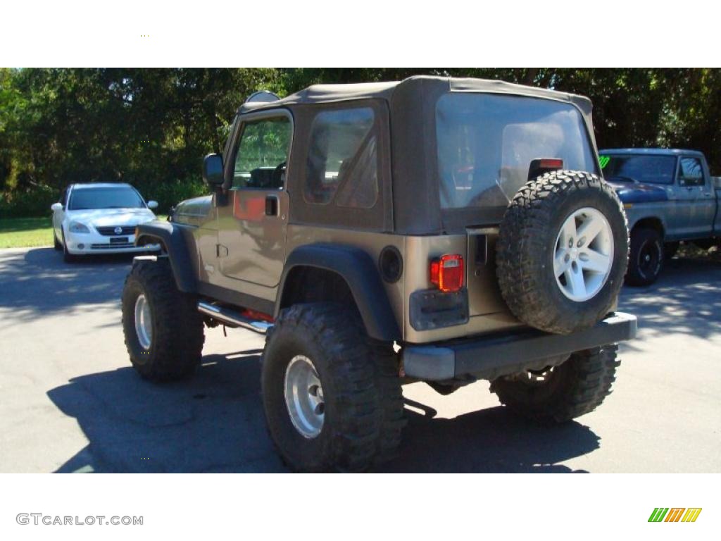 2004 Wrangler Rubicon 4x4 - Light Khaki Metallic / Khaki photo #5